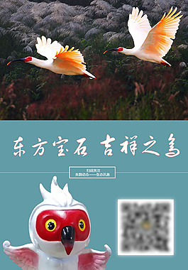 朱鹮易拉宝