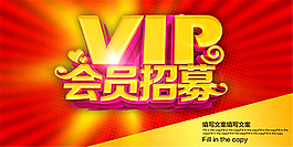 VIP会员招募海报