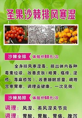 沙棘展架