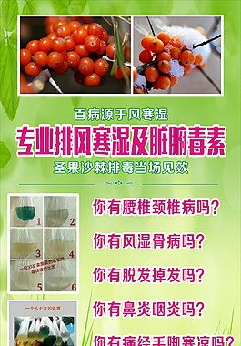 翌芙莱展架