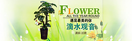花卉 盆景banner