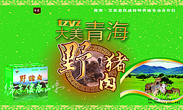 互助县旺盛特种养殖合作社