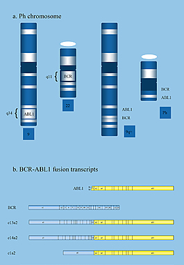 英文基因分子形状图