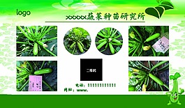 农业种苗展板