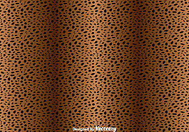 摘要Leopard Pattern