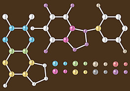 铬分子载体