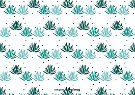 龙舌兰背景矢量