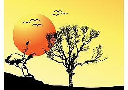 树夕阳的背景