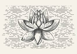 自由矢量花卉插画