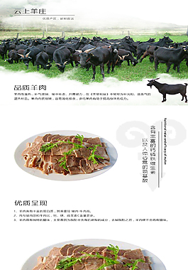 羊肉详情页