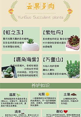 多肉介绍矢量图