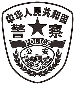 中国警察臂章图片大全图片