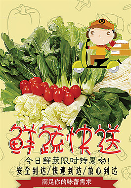 有机鲜蔬快送海报