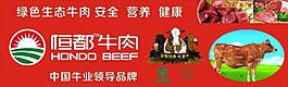 恒都牛肉海报