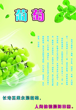 小清新葡萄海报