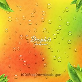 载体的自然背景