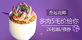 促销海报多肉