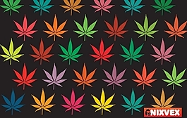 丰富多彩的树叶nixvex自由矢量
