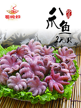 八爪鱼 海报