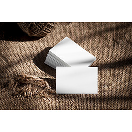 商务名片样机模板