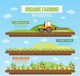 3个创意有机农业信息图设计矢量素材