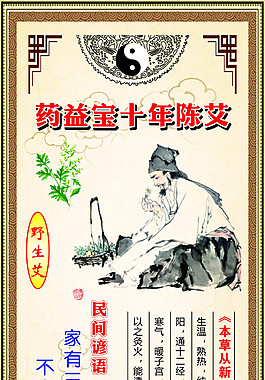 野生艾展板