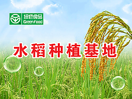 水稻种植基地海报