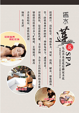 莲花茶展架转曲
