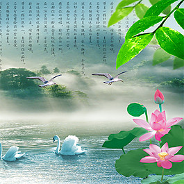 荷花池风景装饰画