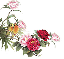 花卉psd分层图