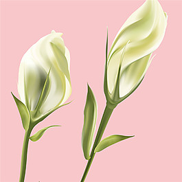 粉色背景花束装饰画