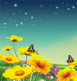 唯美梦幻星空吊顶图案