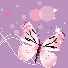 梦幻蝴蝶装饰画