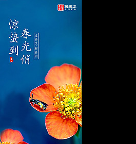 惊蛰