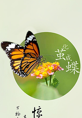 惊蛰