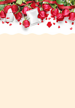 花瓣 背景 玫瑰花