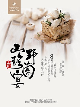 简约野菌山珍宴海报