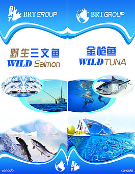 水产折页传单封面