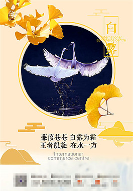 二十四节气白露海报