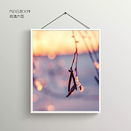 唯美花枝无框装饰画