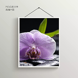 鲜花花卉无框装饰画
