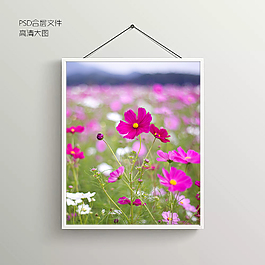 鲜花花卉无框装饰画