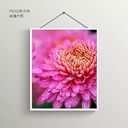 鲜花花蕊无框装饰画