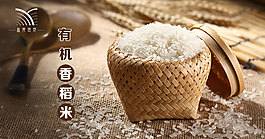 稻米海报