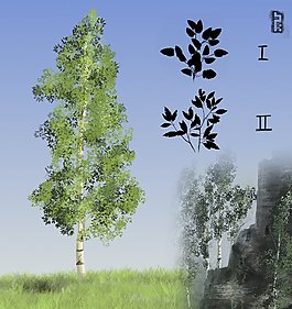叶面刷-定向