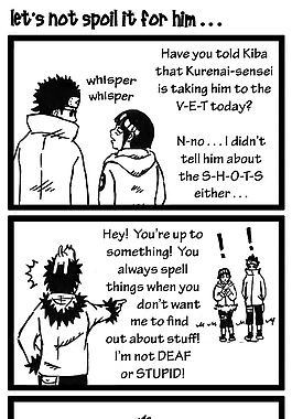 Naruto Fan