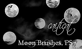 Moon Brush