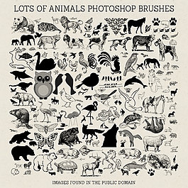 PS笔刷：很多动物