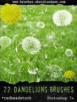 GIMP蒲公英刷