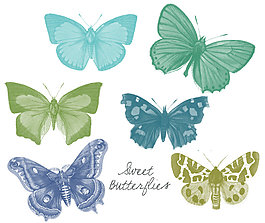 PS笔刷的蝴蝶。